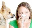 Allergies-dues-aux-animaux