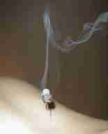 la moxibustion la moxibustion