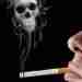 75px Substance toxique de la cigarette - Le tabagisme