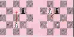 diagramme 10 - Les échecs