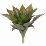 Les agaves 150x150 - Les autres fibres naturelles végétales : Les agaves