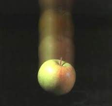 1167 - Le temps de la création : La pomme de Newton