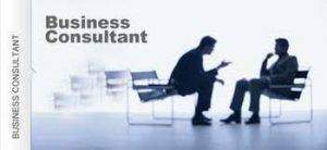 Consultant business