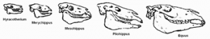 Méthanopyrales01