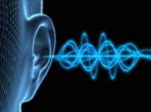 L'oreille permet à l'homme