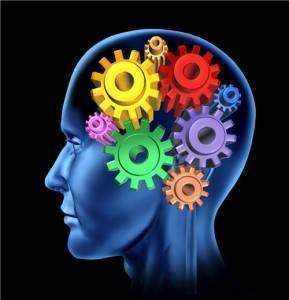 intelligence brain function isolated 289x300 - Étude  de psychologie