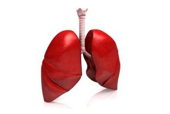 Le cancer broncho pulmonaire primitif - Le cancer broncho pulmonaire primitif