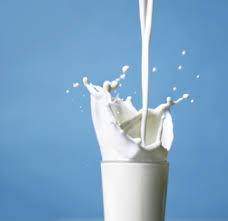 L'intolérance aux protéines du lait de vache