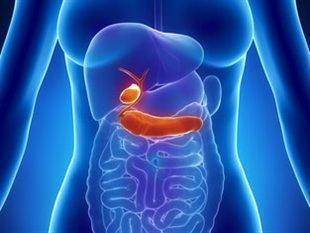 Maladie du pancreas - Maladie du pancréas