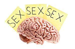 Cerveau-sexe-et-pouvoir-vers-une-neurosociete