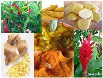 Les-epices-de-longue-vie-le-curcuma-le-gingembre