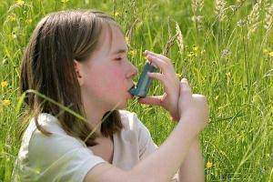L-asthmatique-et-les-pollens