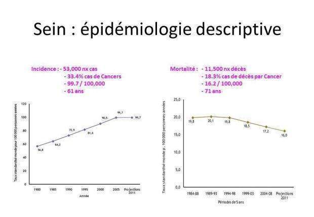 Tumeurs du sein épidémiologie