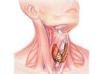 Cancers des voies aériennes