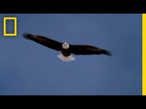 Les volcans en Amériques:  Etats-Unis