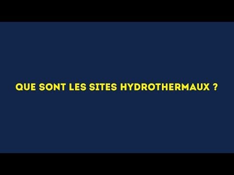 L'activité hydrothermale