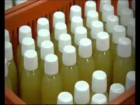 Le colostrum