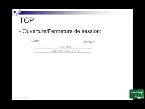 TCP/IP