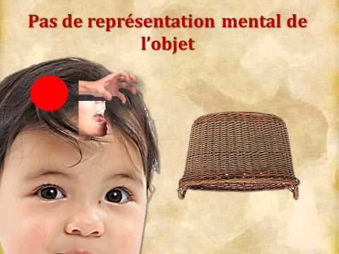 Les différentes formes:L’approche piagétienne et le développement cognitif