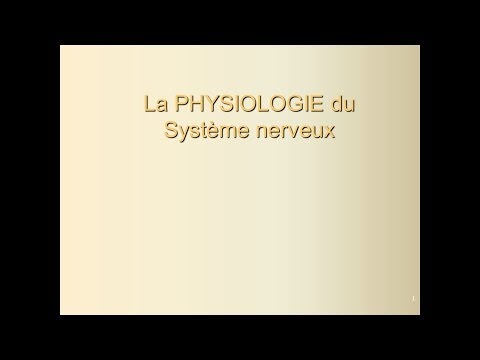 L’anatomie du système nerveux:Le système nerveux somatique et végétatif