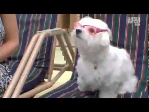 Coton