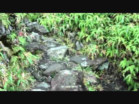 volcan de la Soufrière (Guadeloupe)