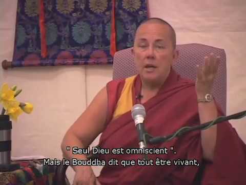 Découverte du bouddhisme Module 1 - L'esprit et son potentiel