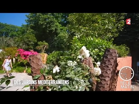 Généralités : un air rustique
