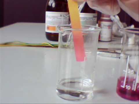 synthèse Nylon