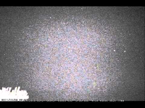 Meteorite essaim des draconides du 08102011