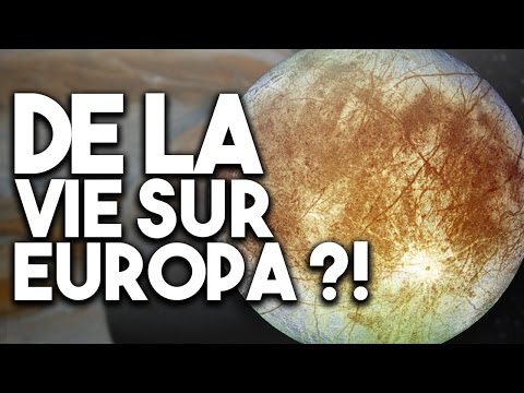 Les  niches du système solaire extérieur: Europe et Titan