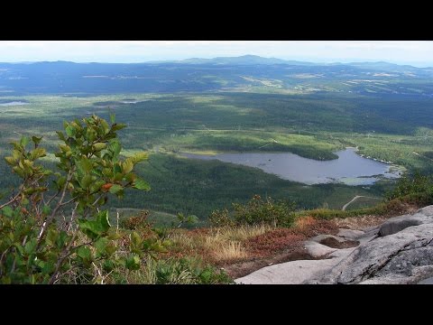 Terrains