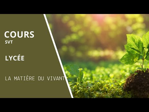La vie sur Terre: à base d'acides nucléiques et de protéines