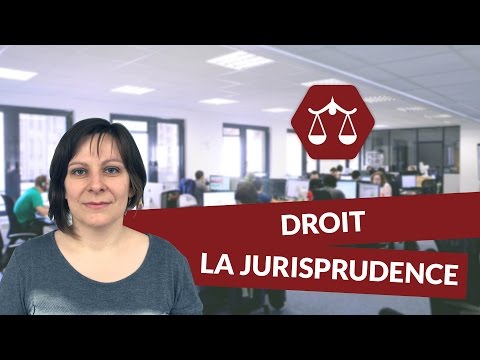 La jurisprudence - Droit - digiSchool