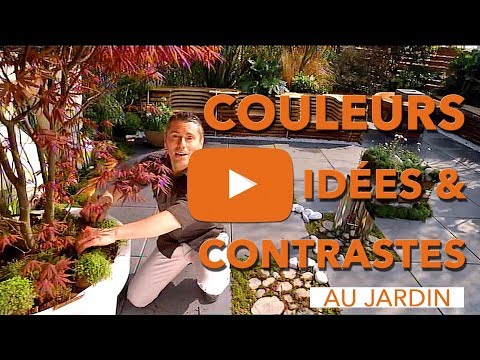 Généralités : de la couleur dans le jardin