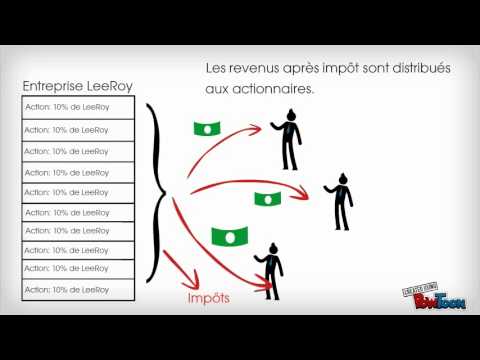 Société de capitaux ou par action