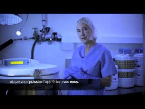 La thérapeutique par le temps : Les embryons congelés