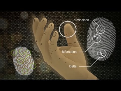 L'identification des personnes physiques