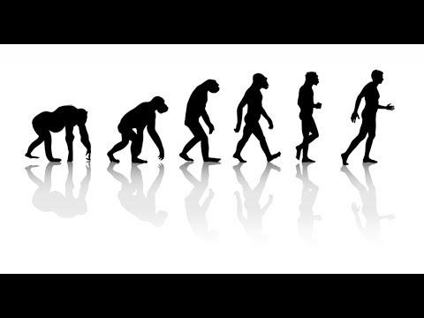 Le devenir du cerveau