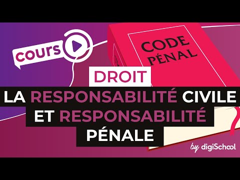 Droit pénal : Les éléments de la responsabilité pénale