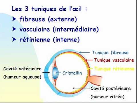 J'ai la larme à l’œil: