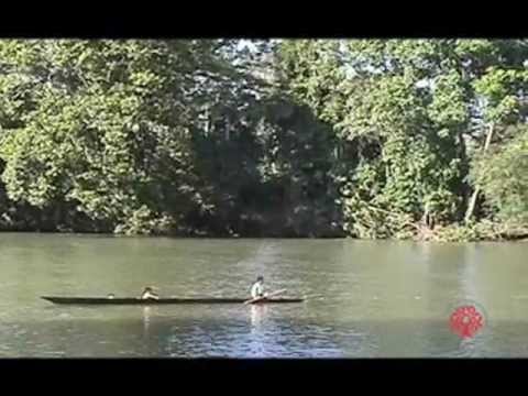 Droits de l'Homme et protection de l'environnement - reportage de France Libertés au Brésil.flv