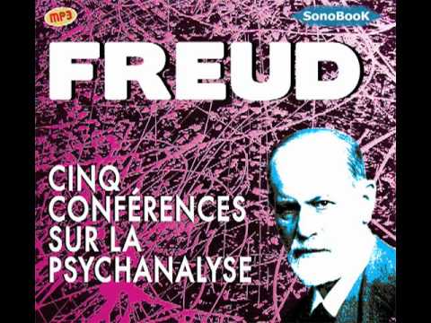 la métapsychologie  Freudienne : Pulsion et libido
