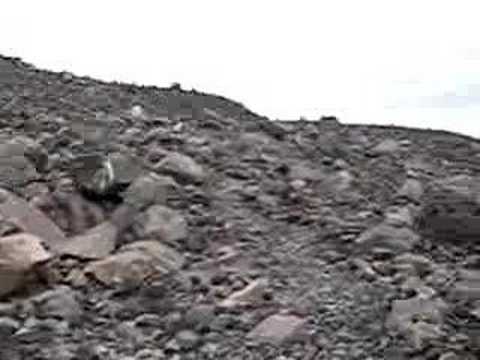 Les volcans en Amériques: Nicaragua