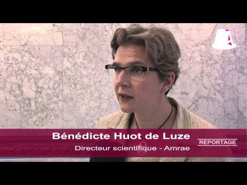 Risque du fournisseur