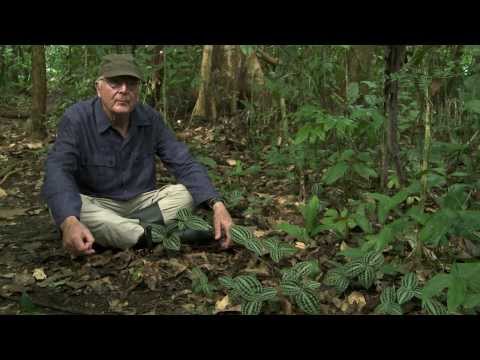 Généralités : S'adapter pour survivre